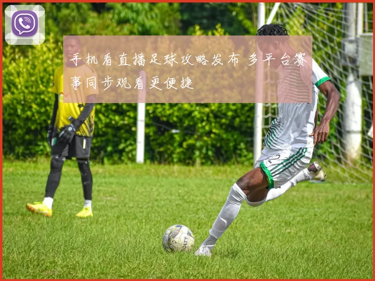 手机看直播足球攻略发布 多平台赛事同步观看更便捷