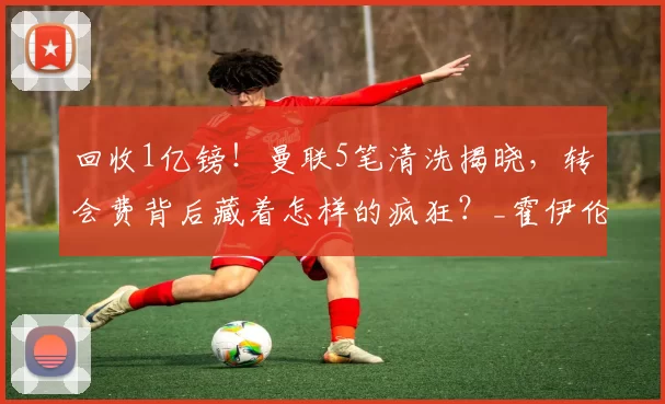 回收1亿镑！曼联5笔清洗揭晓，转会费背后藏着怎样的疯狂？_霍伊伦_欧冠_合同