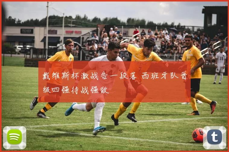 戴维斯杯激战告一段落 西班牙队晋级四强待战强敌