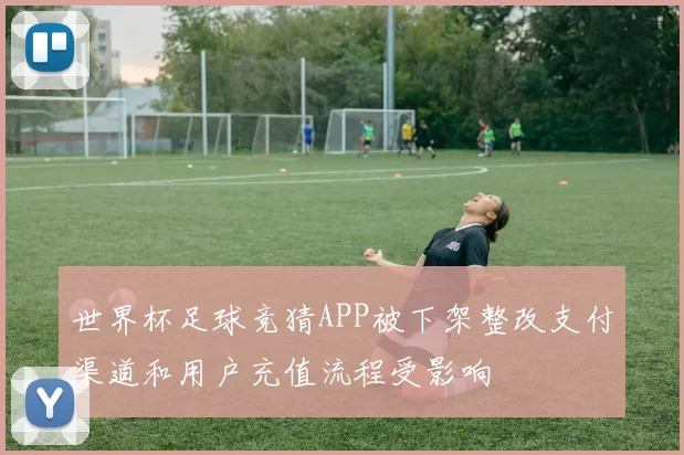 世界杯足球竞猜APP被下架整改支付渠道和用户充值流程受影响