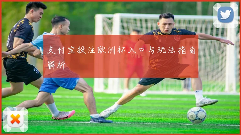 支付宝投注欧洲杯入口与玩法指南解析